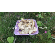 2016 Good Dried Boletus Edulis Price, Porcini Mushrooms for Sale